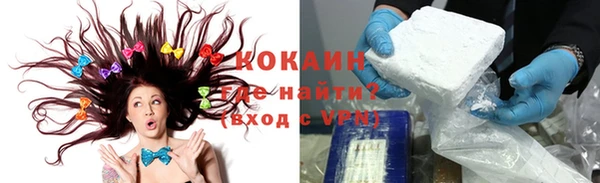 гашик Бородино