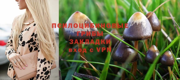 гашик Бородино