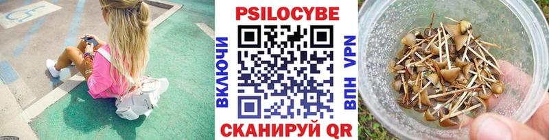 Купить где Макаров Галлюциногенные грибы GOLDEN TEACHER