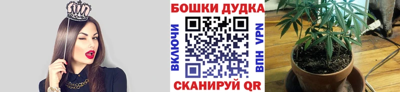 Конопля ГИДРОПОН  Купить где  Макаров 